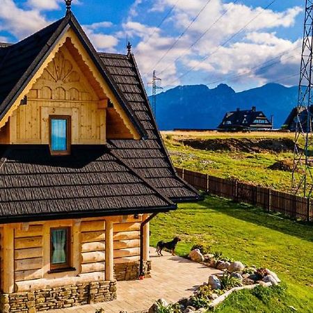 Domek Na Gubalowce & Apartamenty - Premium Chalets & Luxury Apartments Gubalowka ザコパネ エクステリア 写真