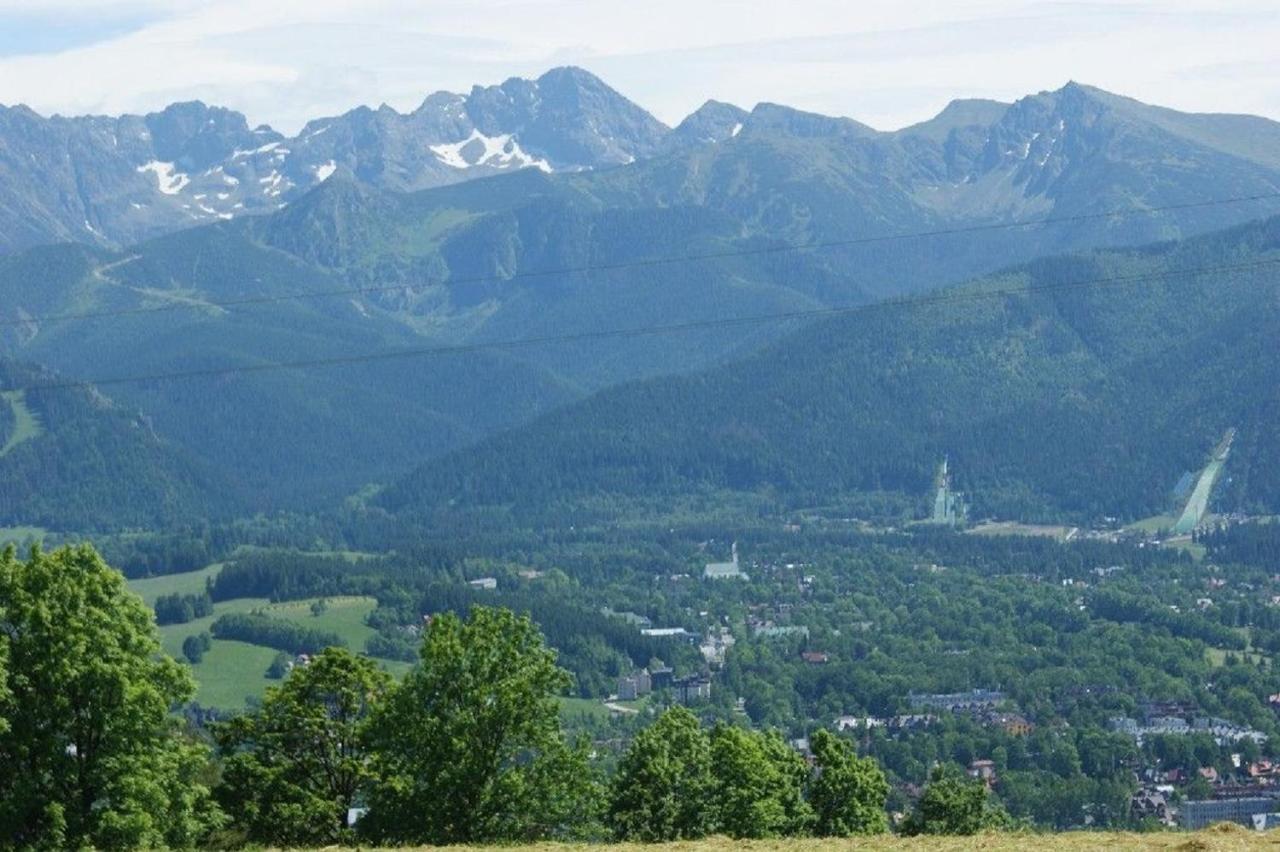 Domek Na Gubalowce & Apartamenty - Premium Chalets & Luxury Apartments Gubalowka ザコパネ エクステリア 写真